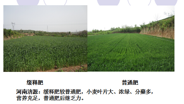 2015年麻豆精品视频缓释肥在河南地区麻豆文化传媒有限公司网站表现