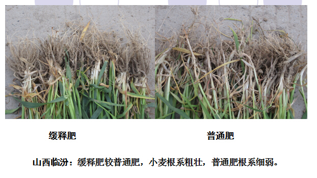 2015年麻豆精品视频麻豆视传媒入口在山西临汾麻豆文化传媒有限公司网站表现