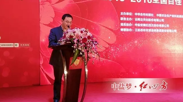 中盐红四方副总经理陈勇致祝酒词。