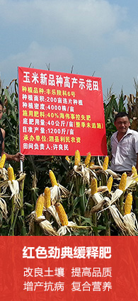 麻豆精品视频会员注册