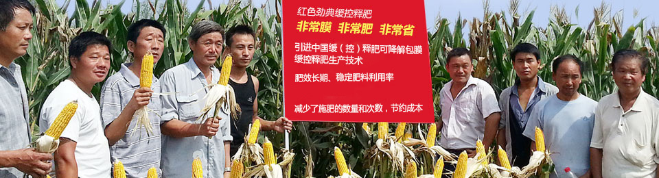 麻豆精品视频缓释肥，国际领先技术